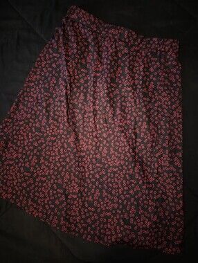 NWOT Women's Black A-Line Skirt with Red Floral Print